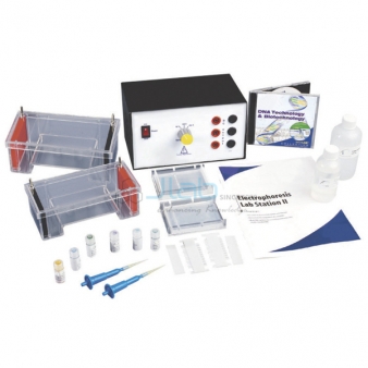 Electrophoresis Equipments